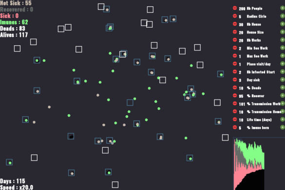 Epidemic simulation